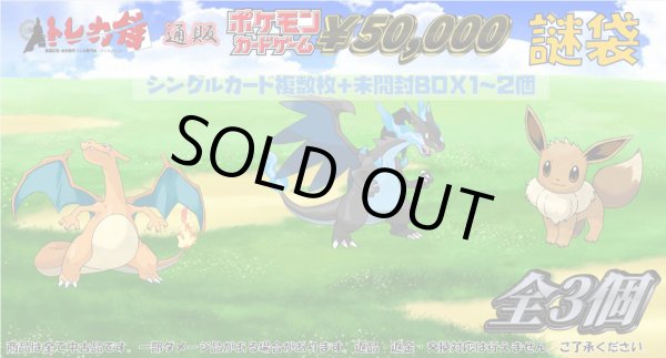 画像1: ポケモンカード50000円謎袋 (1)