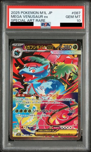 画像1: 【PSA10】メガフシギバナex(087/063 SAR) (1)