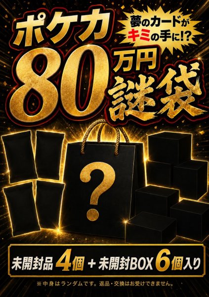 画像1: 【1号店併売中】ポケカ80万円謎袋 (1)