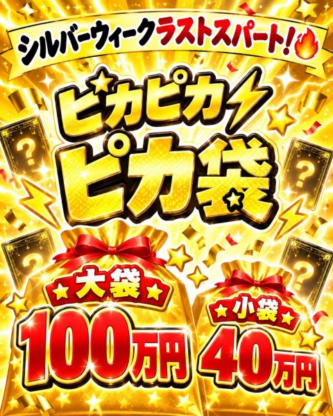 画像1: シルバーウィークラストパート　ピカピカ袋【２種】 (1)