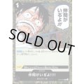 仲間がいる゛よ!!!!(C/パラレルfoil)(ST14-016)