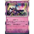 ゼルネアス(R)(046/063)