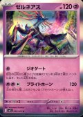 ゼルネアス(R)(046/063)