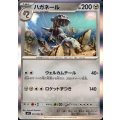 ハガネール(R)(045/063)
