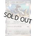 ハガネール(R)(045/063)