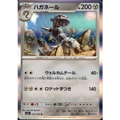 画像1: ハガネール(R)(045/063)