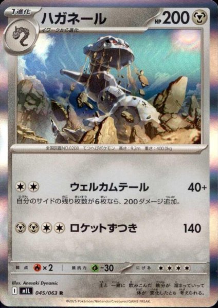 画像1: ハガネール(R)(045/063) (1)