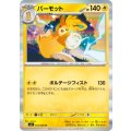 パーモット R 034/080