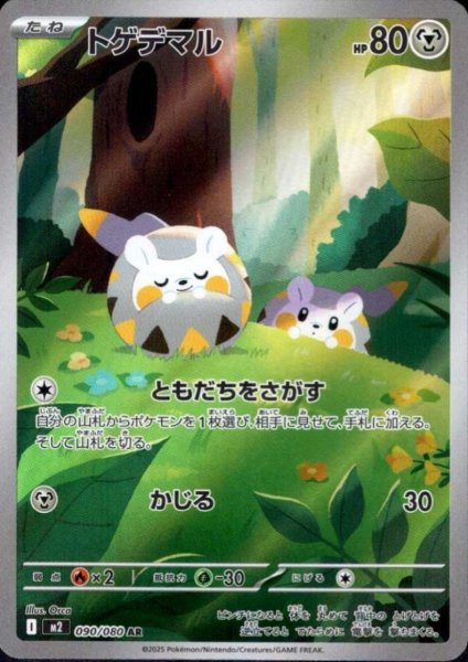 画像1: トゲデマル AR 090/080 (1)