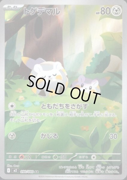 画像1: トゲデマル AR 090/080 (1)