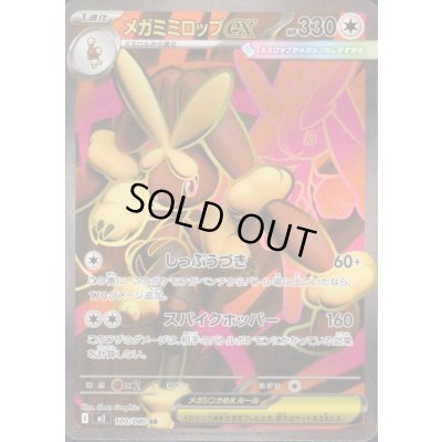 画像1: メガミミロップEX SR 100/080