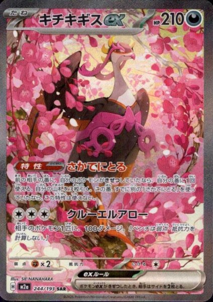 画像1: キチキギス(SAR)(244/193) (1)