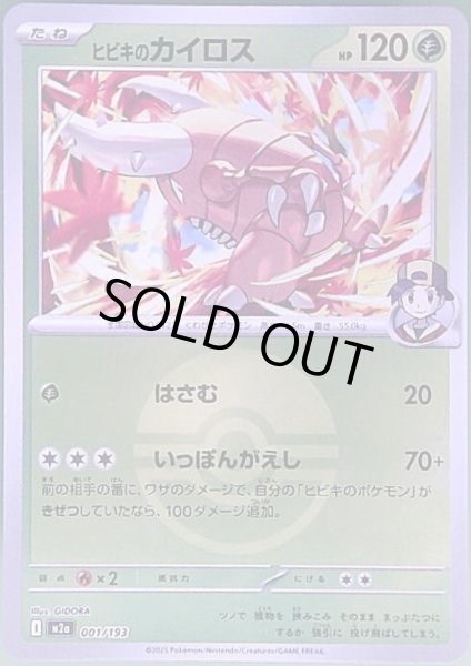 画像1: ヒビキのカイロス(ミラー)(001/193)【ボール柄】 (1)