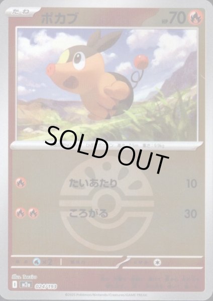 画像1: ポカブ(ミラー)(024/193)【ボール柄】 (1)