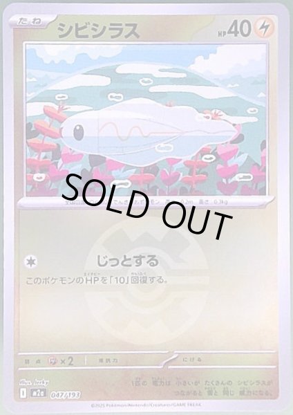 画像1: シビシラス(ミラー)(047/193)【ボール柄】 (1)