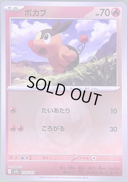 画像1: ポカブ(ミラー)(024/193)【エネルギーマーク柄】 (1)