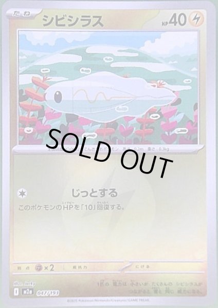 画像1: シビシラス(ミラー)(047/193)【エネルギーマーク柄】 (1)