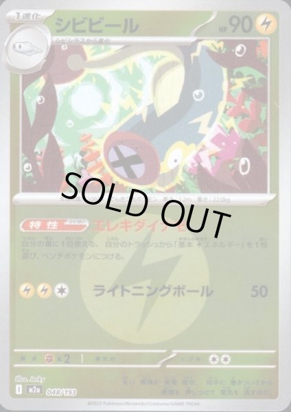 画像1: シビビール(ミラー)(048/193)【エネルギーマーク柄】 (1)