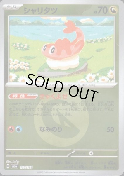 画像1: シャリタツ(ミラー)(135/193)【エネルギーマーク柄】 (1)