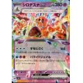 シロデスナex(RR)(057/106)