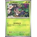 コフキムシ(C)(004/106)