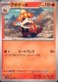 アチゲータ(C)(018/106)