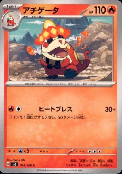 画像1: アチゲータ(C)(018/106) (1)