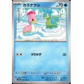 カラナクシ(C)(030/106)