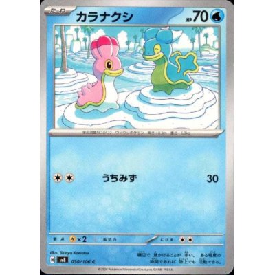 画像1: カラナクシ(C)(030/106)