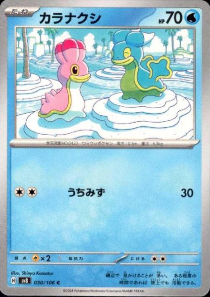 画像1: カラナクシ(C)(030/106) (1)