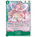 しらほし(R)(OP11-030)