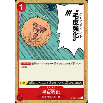 画像1: 毛皮強化(C)(ST01-014)