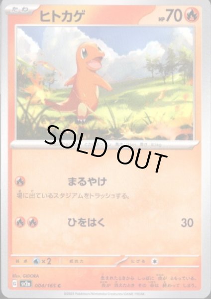 画像1: 【状態B】ヒトカゲ(まるやけ/ひをはく) (1)