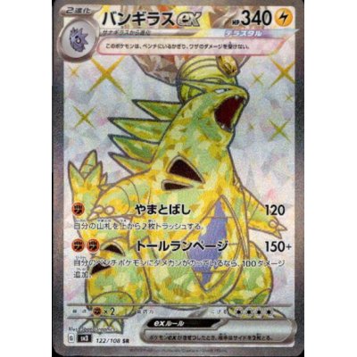 画像1: バンギラスex(122/108 SR)
