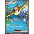 ピジョットex(136/108 SAR)[2号店併売中]