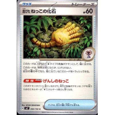 画像1: 古びたねっこの化石