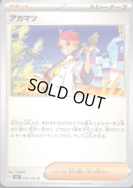 画像1: 【状態B】アカマツ (1)