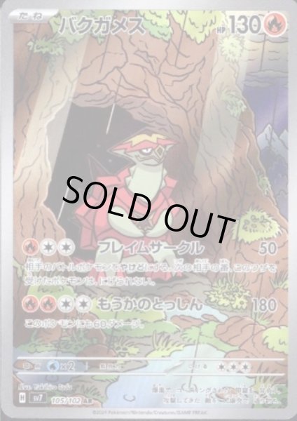 画像1: バクガメス(105/102 AR) (1)