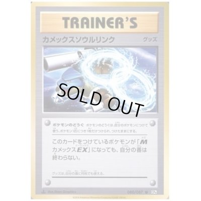 画像1: カメックスソウルリンク