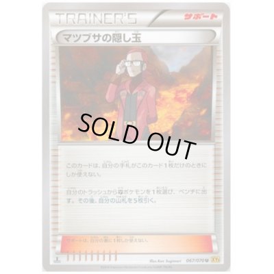 画像1: マツブサの隠し玉