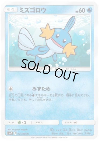 画像1: ミズゴロウ(みずため) (1)