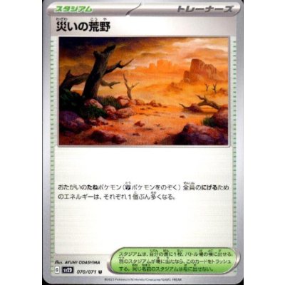 画像1: 災いの荒野 070/071
