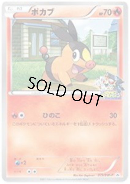 画像1: ポカブ(079/BW-P) (1)