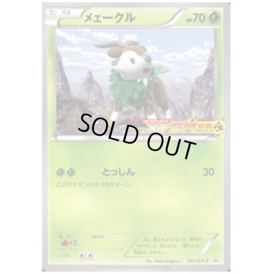 画像1: メェークル(011/XY-P)