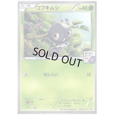 画像1: コフキムシ(020/XY-P)