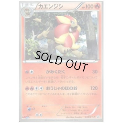 画像1: カエンジシ(033/XY-P)