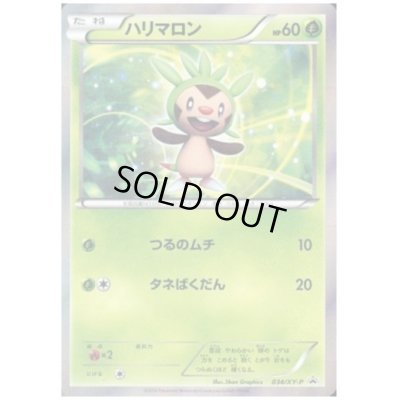 画像1: ハリマロン(034/XY-P)