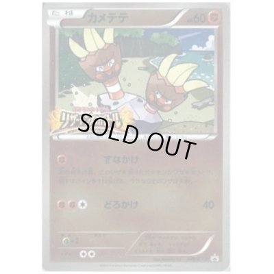 画像1: カメテテ(049/XY-P)