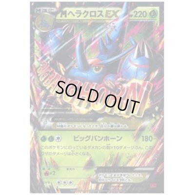画像1: MヘラクロスEX(005/096 RR)
