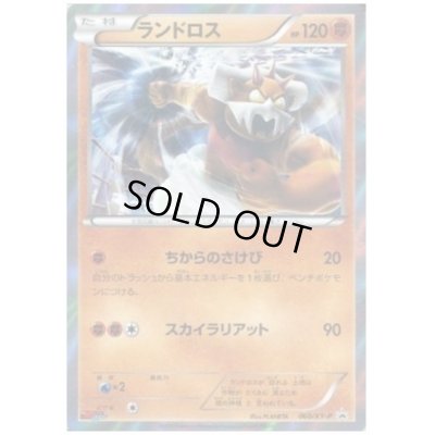 画像1: ランドロス(060/XY-P)